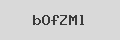 Captcha Verification